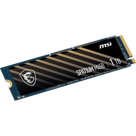 MSI SPATIUM M450 1TO