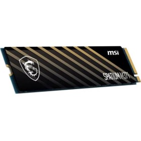 MSI SPATIUM M371 500 GO